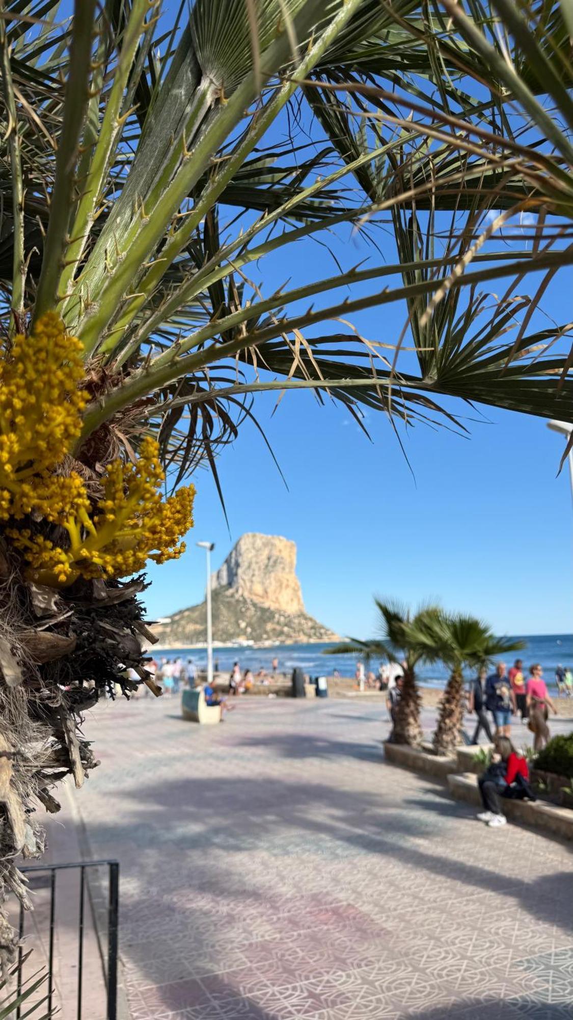 Esmeralda Suites Sunrise Con Piscina Calpe Ngoại thất bức ảnh